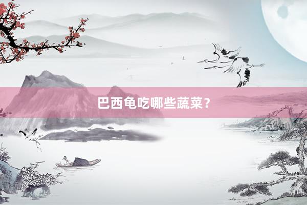 巴西龟吃哪些蔬菜?