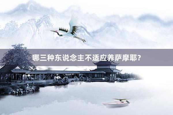 哪三种东说念主不适应养萨摩耶？